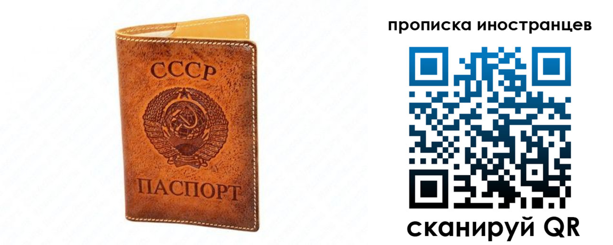 прописка для школы в Челябинской области